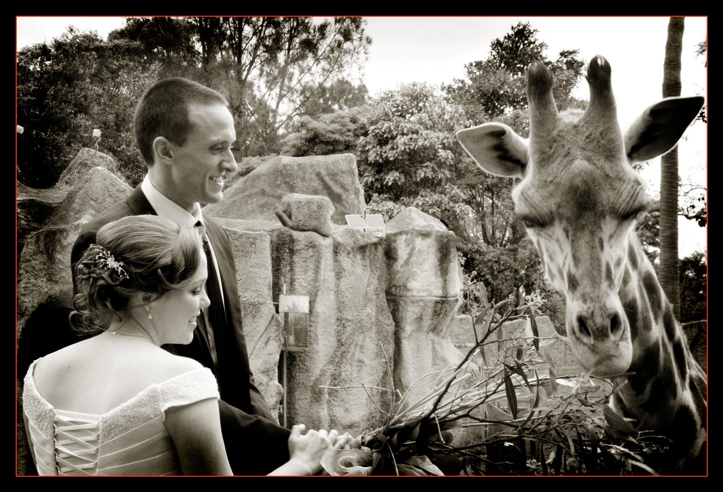 Melbourne Zoo Wedding