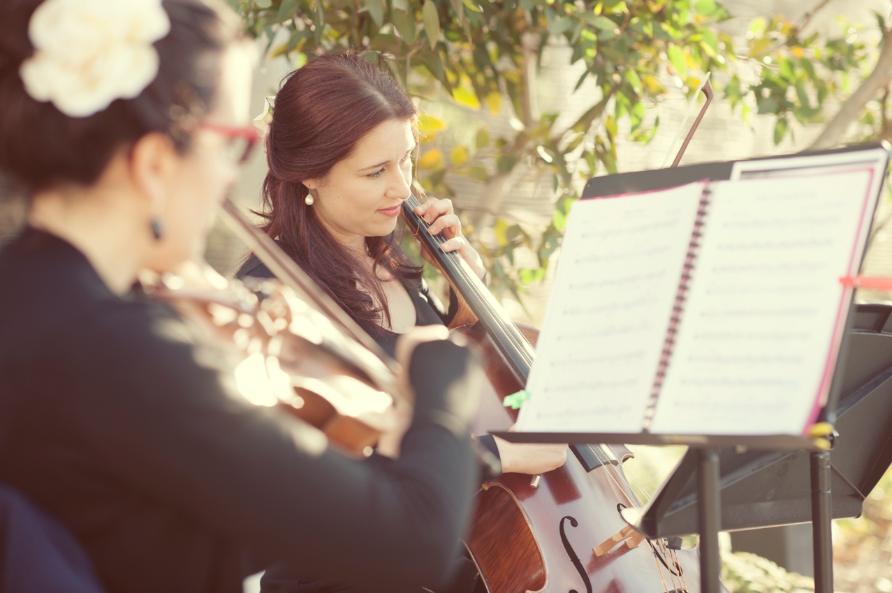 Melbourne Museum Wedding