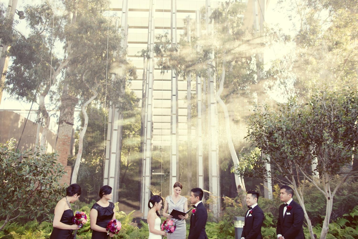 Melbourne Museum Wedding