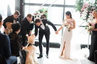 Groom pats his cream coloured dog during the wedding ceremony