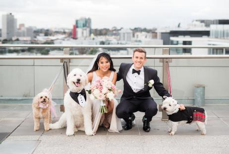 Bride + Groom posing with their three dogs on wedding day