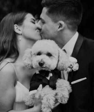 Bride and groom kiss while holding their little white dog in a back doggy suit at wedding